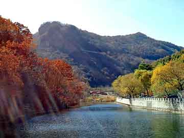 新澳天天开奖资料大全旅游团，暗组论坛